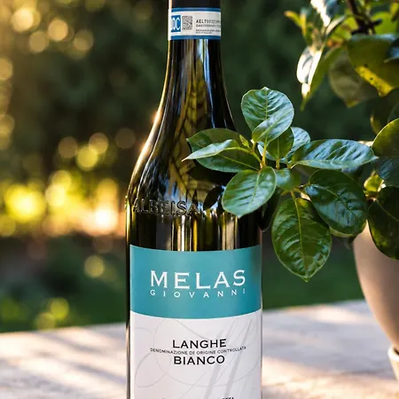 La Cascina Di Carlotta - 1846 - Bauernhof Alba (Piedmont)